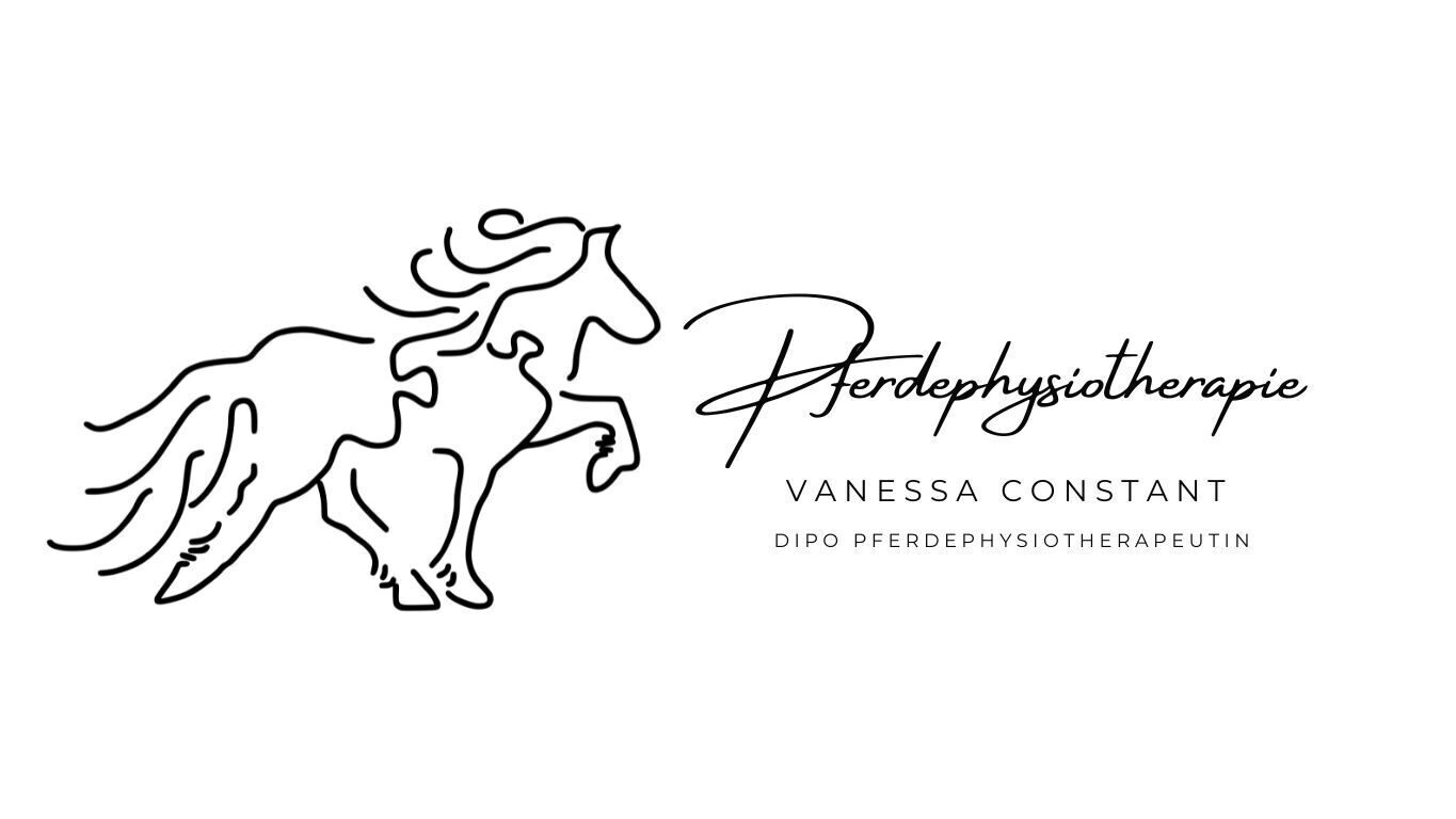 Pferdephysiotherapie Vanessa Constant